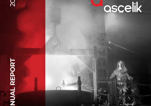 Ascelik Annual Report
