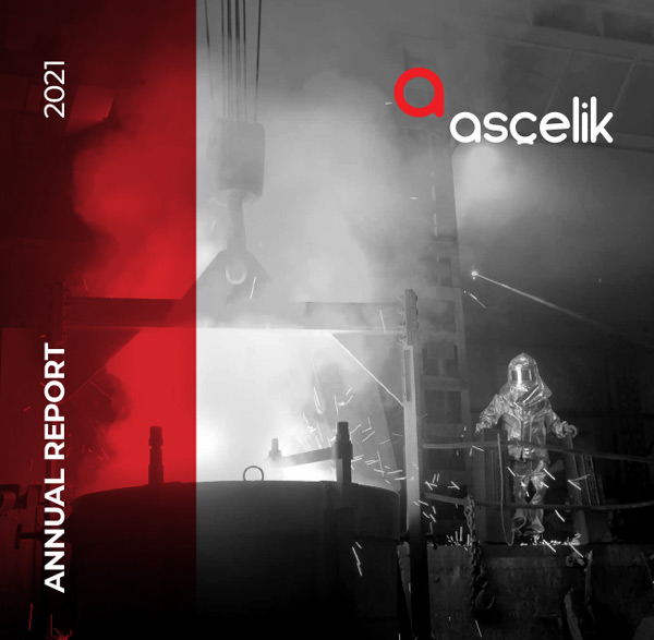 Ascelik Annual Report