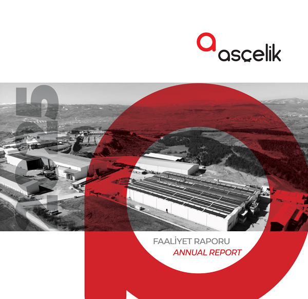 Asçelik faaliyet raporu
